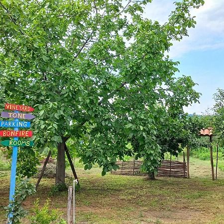 Veli Guest House • Საოჯახო Სასტუმრო Ველი Zemo Alvani Luaran gambar