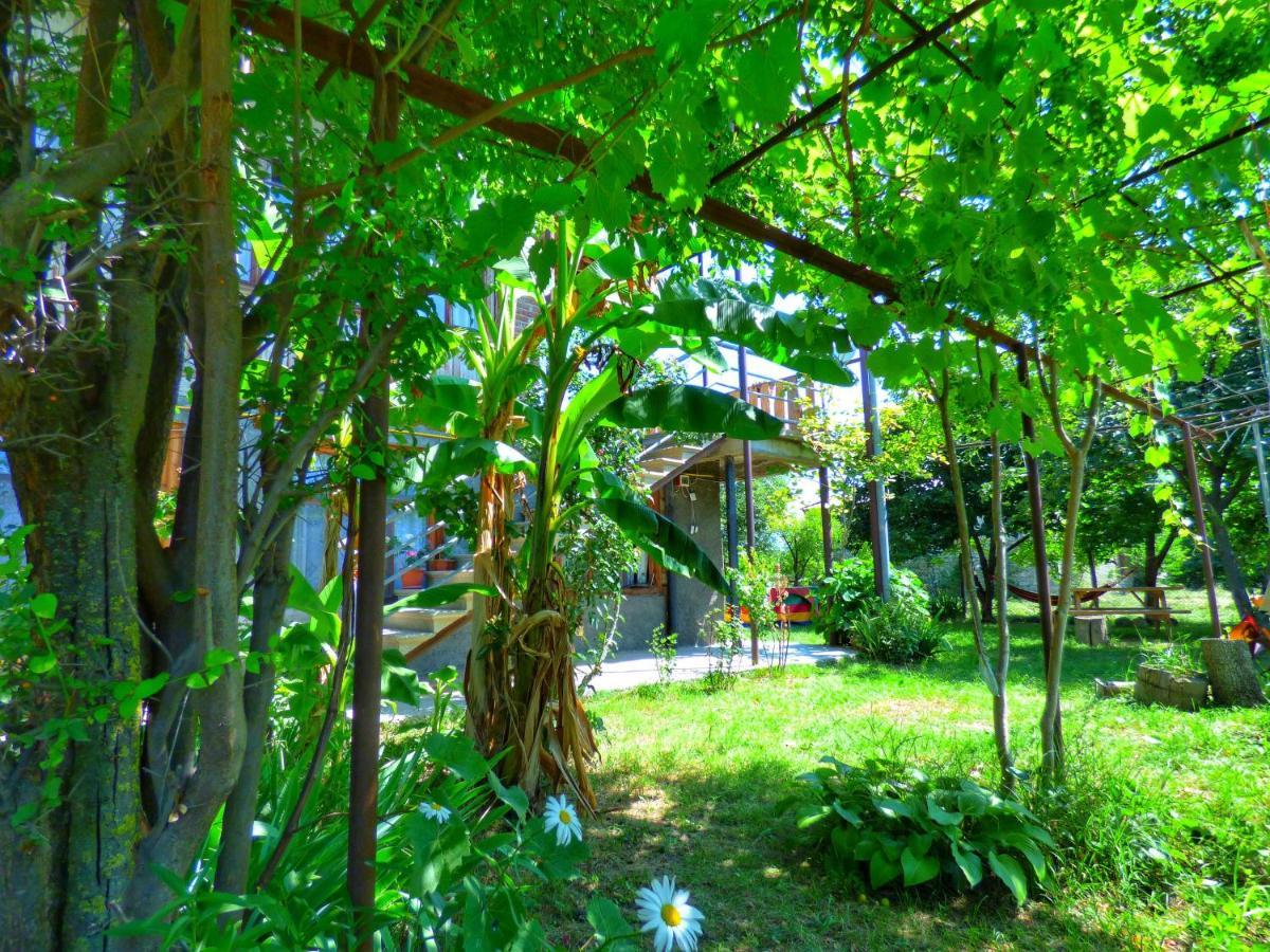 Veli Guest House • Საოჯახო Სასტუმრო Ველი Zemo Alvani Luaran gambar