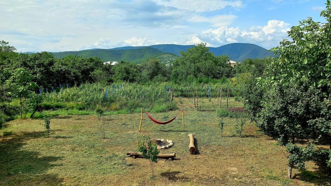 Veli Guest House • Საოჯახო Სასტუმრო Ველი Zemo Alvani Luaran gambar
